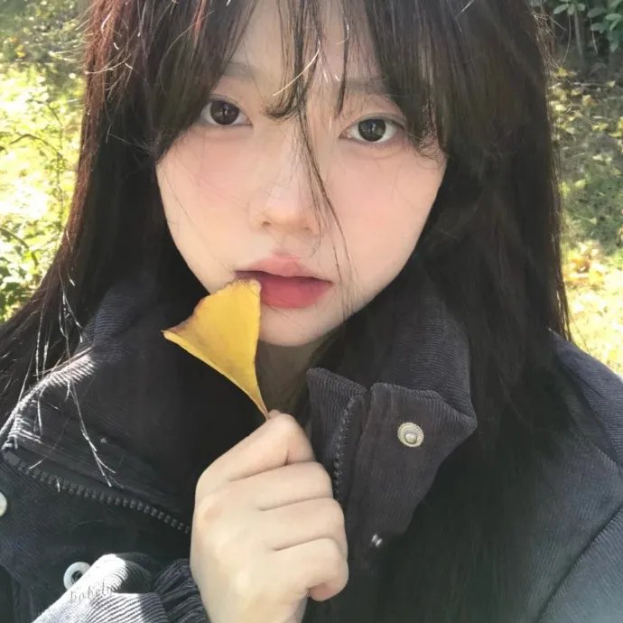 巴格达来信